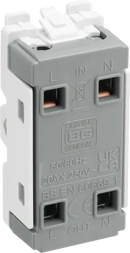 BG RAB30KY 2 way, double pole