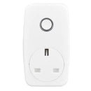 BG AHC-U 13A Power Adaptor with Smart Home Control