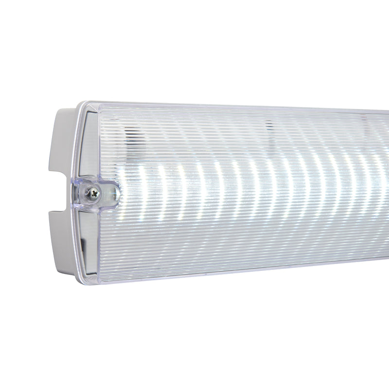 Saxby 108087 SightPRO IP65 3.8W Emergency Bulkhead