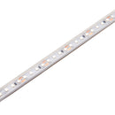 Saxby 118825 Orion67 48V | 4000K 7.2W/M 35M IP67