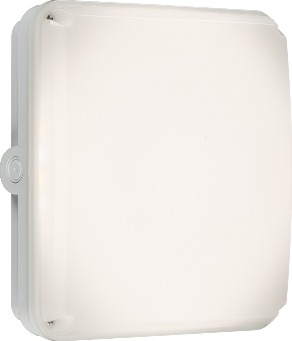 Knightsbridge MLA TNXQCW Square White Casing for TENAX Quad