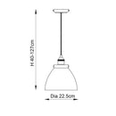Endon 91738 Hansen 1-Light Pendant - Contemporary Ceiling Light Fixture
