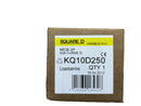 Schneider Electric (Square D) KQ10D250 50A, 2-Pole Type D MCB for LoadCentre KQ Distribution Board