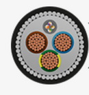 ConnectEV3X6SWA SWA 3C Power + Cat 5 Cable - 1M