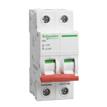 Schneider Electric SEA91252 Switch disconnector 125A 2 Pole