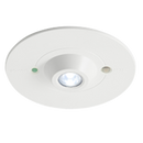 Ansell ARALED/OA/3NM/ST Raven Emergency Downlight Non-Maintained Open Area White