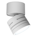 Ansell AREELEDA Reef CCT Adjustable Surface Downlight White