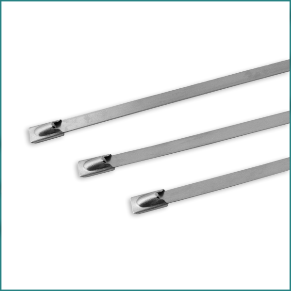 Mixed TT300SS CABLE TIES & MOUNTS Stainless Steel