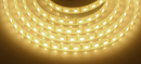 Waterproof LED Strip Warm White, 5M, 120LED-M (2800K12V-3528-600-5M)