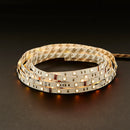 Saxby 73667 Flexline 12V 5m kit RGB 24W SW rgb