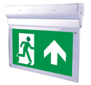 Hanging Blade Type LED Emergency Exit Light (HTB216)