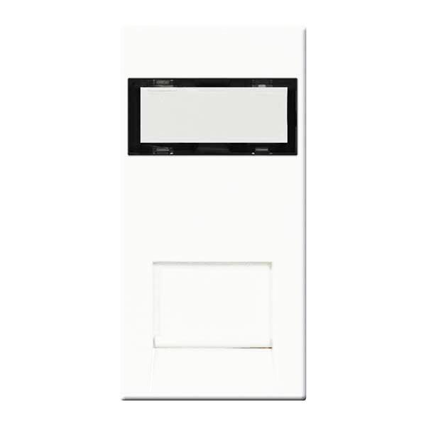 Euro Module Inserts BG EMRJ45C5EW Euro Module Data Module Insert - Rj45, Cat5E (IDC)