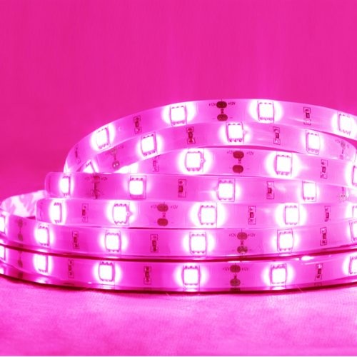 Waterproof LED Strip Pink, 5M, 120LED-M (PINK12V-3528-600-5M)