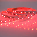 Multi-colour (RGB) + CCT LED Strip, 5M, 60LED-M (RGB+CCT-5050-300-5M)